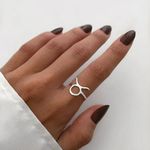 ANEL SIGNO TOURO PRATA 925