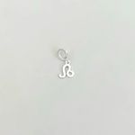 BERLOQUE SIGNO LEÃO PRATA 925