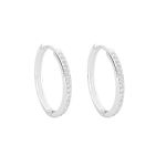 BRINCO ARGOLA ZIRCÔNIA CRISTAL PRATA 925