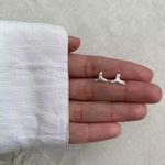 BRINCO RABO DE BALEIA PRATA 925