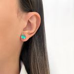 BRINCO REDONDO ZIRCÔNIA PRATA 925