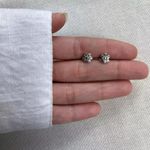 BRINCO FLOR INDIANO PRATA 925