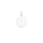 PINGENTE SIGNO PRATA 925 