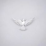 PINGENTE ESPÍRITO SANTO ZIRCÔNIA CRISTAL PRATA 925