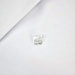 PINGENTE ELEFANTE BRANCO PRATA 925