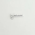 PINGENTE PLACA GASTRONOMIA ZIRCÔNIA CRISTAL PRATA 925