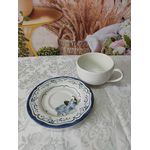 Xícara de Chá com Pires Valência