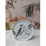 Prato Sobremesa Bio Birdy