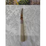 Faca para Mesa Gamma com cabo Bege