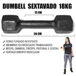 Par de Dumbbell Sextavado Pintado - 18kg