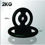 Anilha de Ferro Fundido Vazada 2kg - Naturalfitness 