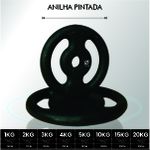 Anilha de Ferro Fundido Vazada 2kg - Naturalfitness 