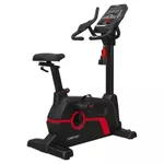 Bicicleta Vertical Profissional V-3000 - Consport