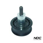 N29039 - POLIA CORREIA