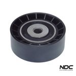 N29007 - POLIA CORREIA