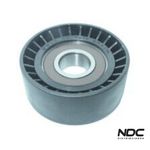 N29008 - POLIA CORREIA