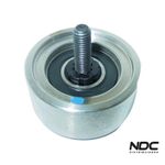 N29015 - POLIA CORREIA