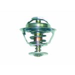 N39405 - VALVULA TERMOSTATICA