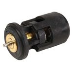 N39449 - VALVULA TERMOSTATICA
