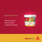 Ligamax Rejunte Acrílico - Branco 1KG