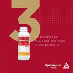 Aditivo Para Rejuntes 1l - Ligamax