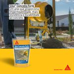 Sika Concreto Forte - 1 L