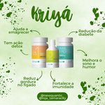 Programa de desintoxicação e purificação orgânica natural e nutricional Kriyá
