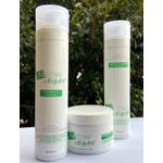 Linha Vegana New Quantic para cabelos com química - Kit com shampoo + máscara de hidratação + condicionador