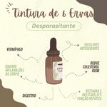 Kit com 4 Tinturas desparasitantes 6 Ervas New Quantic – Curativo hepático/ Hipotensor/ Antioxidante/ Diurético