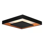 PLAFON NEW PICTURE LED 16,8W 3000K BIVOLT BT/BT