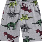 Pijama Kyly Infantil Masculino 4-6-8 Branco com Cinza Dinossauros