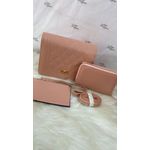 Bolsa Carteira e Porta Moeda Rosê