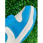 Dunk Low Azul - Premium