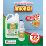 REMOVEDOR LP AMONIAL CENAP 12X1 LITRO LOJA ( FARDO COM 12 UNIDADES COM 1 LITRO CADA )