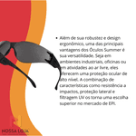 Óculos Summer Fume Deltaplus
