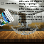 Hidrofugante Koromix 18L Montana