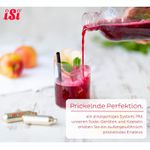  Cápsulas CO₂ iSi Soda Refri 8,4g – 30 Unidades