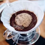Hario Suporte para Filtro de Café V60 02 - PP, Marrom – Praticidade e Design Elegante