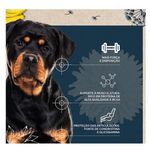 Snow Dog Flores Power – Dente De Leão