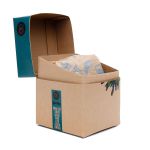 Sapatilha Couro Napa - Veneza Snake Coffee