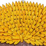Quadro Vazado de Ânfora de Bananas - Grande