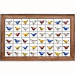Painel Grade de Pássaros 48 pçs. - Com Moldura