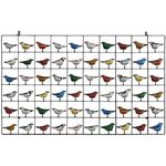 Painel Grade de Pássaros 60 pçs. - 60 x 100 CM.