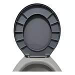  ASSENTO SANITARIO POP CINZA LUCONI 4333