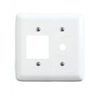  PLACA 4X4 P/ INTER 2 + SAIDA DE FIO BRANCA ILUMI 265Q