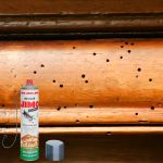 Mata Cupim Jimo Incolor 400ml + Agulha De Aplicação