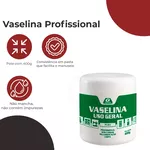 GARIN VASELINA SOLIDA INDUSTRIAL 80G 