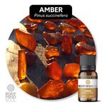 Óleo Absoluto Âmber Âmbar - Pinus Succinefera