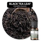 Óleo Essencial Absoluto Black Tea Cha Preto Orgânico