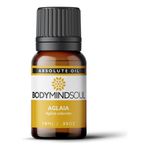 Óleo Absoluto Aglaia - Aglaia Odorata